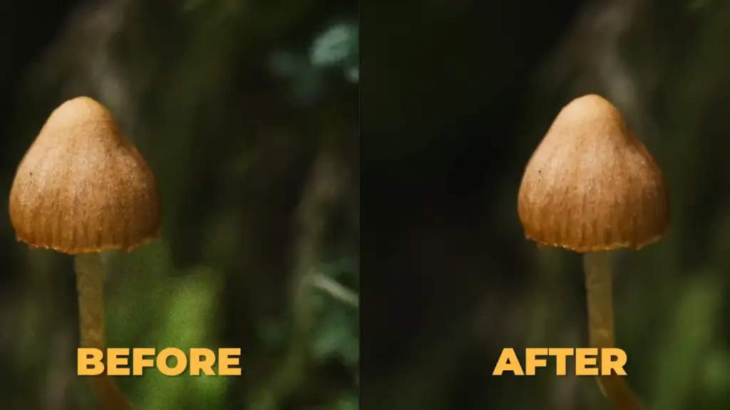 Adobe lr vs C1 1