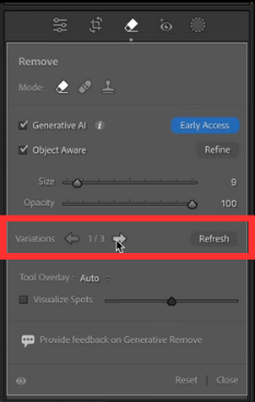 Lightroom Classic new update1