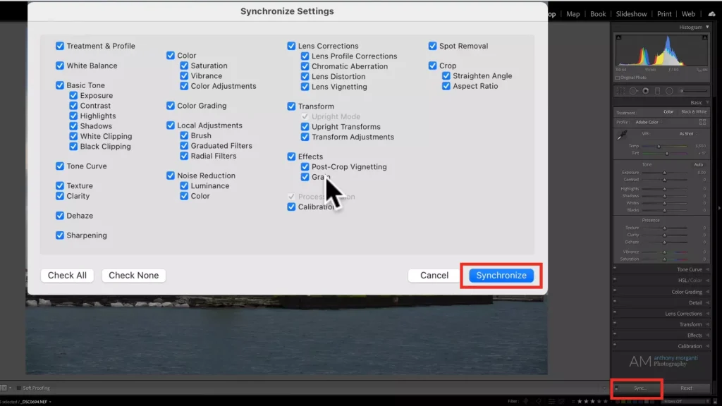 Sync Batch Editing